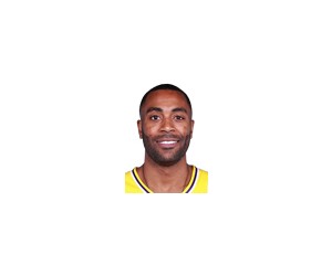 Wayne Ellington basketball player photo 3