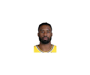 Wesley Matthews basketball player photo 2