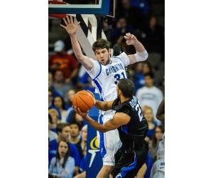 Will Artino basketball player photo 1