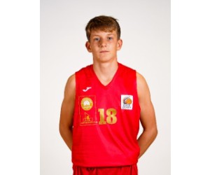 Wim Stuve basketball player