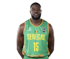 Youssou Ndoye basketball player photo 2
