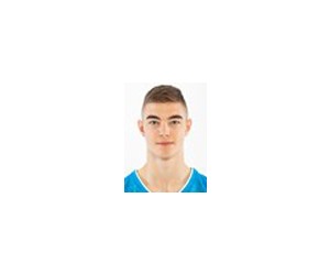 Ziga Samar basketball player photo 3
