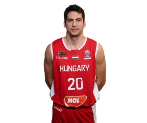 Zoltan Perl basketball player photo 4