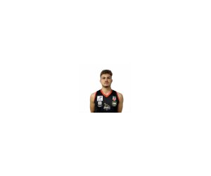 Allison Matheus Wilhelms basketball player - SF