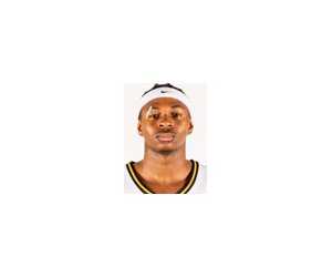 Anthony Alston basketball player - G