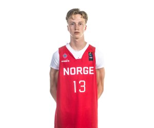 Brage Holm