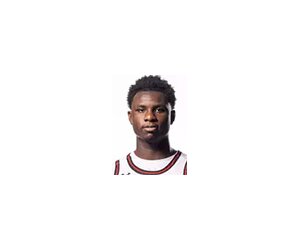 Brandon Russell basketball player - F