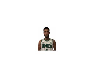 Bruno Goncalves basketball player - SF
