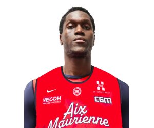 Cheick Sane