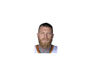 Chris Andersen basketball player - PF