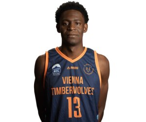 David Ilunga Zola