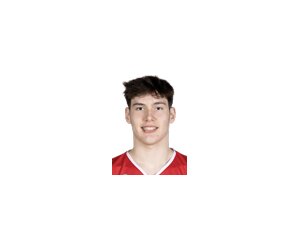 David Mirkovic basketball player - PF