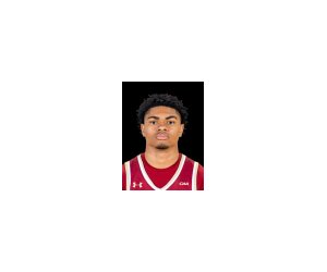 Demarco Johnson basketball player - G