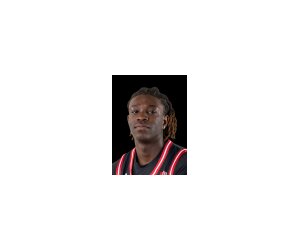 D.j. Stickman basketball player - G
