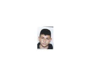 Gabriel Brozincevic basketball player - F