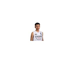 Gregory Gozalyan basketball player - F