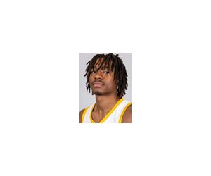 Jahari Williamson basketball player - G