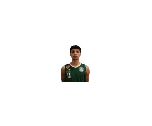 Klaus Tauber basketball player - PG