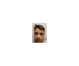 Lukas Gracanin basketball player - F