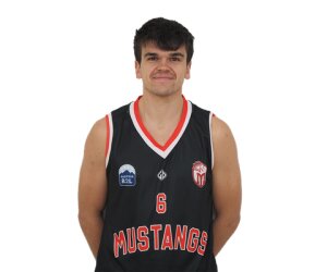 Lukas Schrittwieser