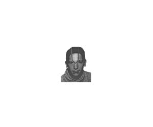 Marino Novkovic basketball player - F