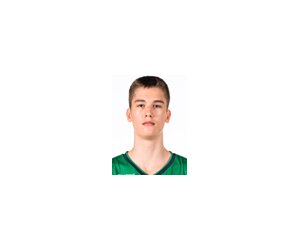 Michael Ruzic basketball player - C