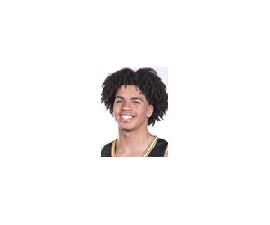 Mikhail Abdul-Hamid basketball player - F