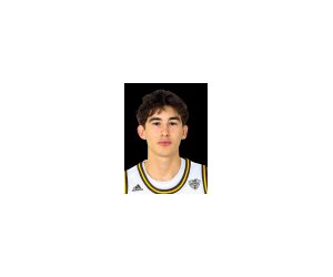 Nicholas Errica basketball player - G