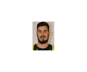 Nikola Kalinic basketball player - F