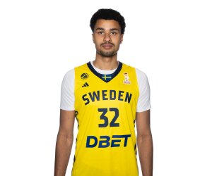 Nils Vahlberg basketball player photo