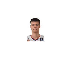 Pavle Nikolic basketball player - F