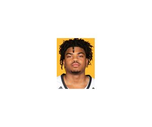 R.j. Johnson basketball player - G
