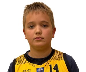 Roberts Vilips