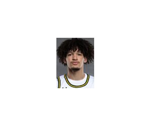 Ryan Jackson basketball player - SF