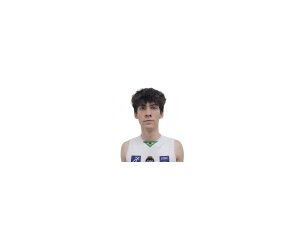Ryan Viscardi Johansson basketball player - SF