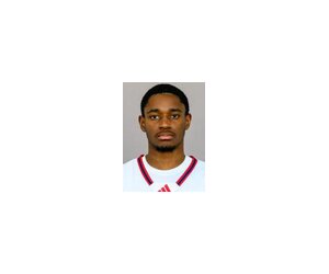 Sebastian Robinson basketball player - PG
