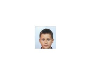 Sime Ivan Henjak basketball player - F
