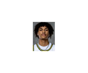 Taiwo Hamilton basketball player - C