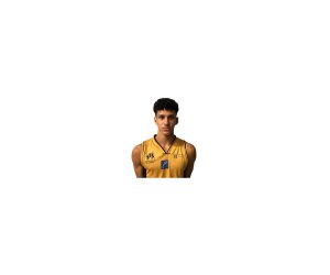 Tiago Bitencourt Nascimento basketball player - SF