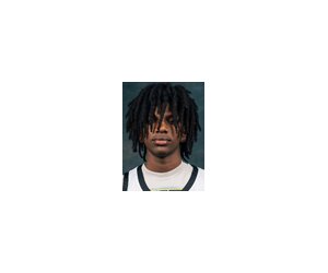 T.j. Robinson basketball player - G