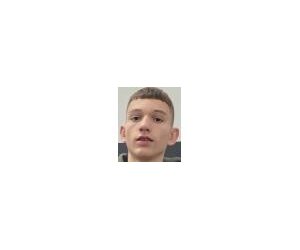Toma Lalic basketball player - F