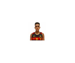 Vinicius Gomes Da Silva Melo basketball player - SF