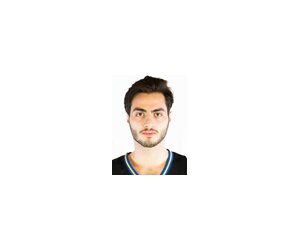 Vladimer Salaridze basketball player - F