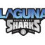 ABC LAGUNA BUCURESTI logo