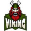 ACS VIKINGS IASI logo