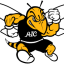 AMERICAN INTERNATIONAL logo