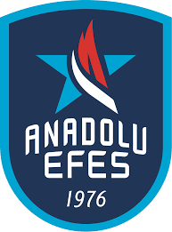 ANADOLU EFES Logo
