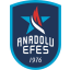 ANADOLU EFES logo