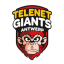 ANTWERP GIANTS logo