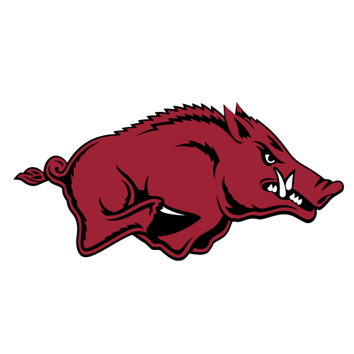 ARKANSAS Logo